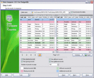 EMS Data Comparer 2007 for PostgreSQL screenshot